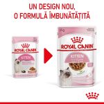 Royal Canin Kitten hrană umedă pisică (în sos), 12 x 85g