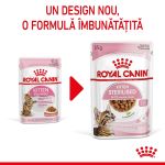 Royal Canin Kitten Sterilised hrană umedă pisică sterilizată junior (în sos), 12 x 85g