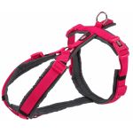 Ham Premium, S-M: 44-53 cm/20 mm, Fuchsia/Grafit, 1997111