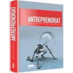 Antreprenoriat - Marius Ghenea