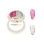 Paleta pigmenti holografici 003 W56B Engros