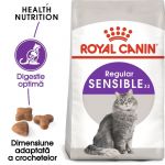 Royal Canin Sensible Adult hrană uscată pisică, digestie optima, 400g