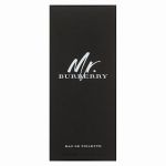 Burberry Mr. Burberry eau de Toilette pentru barbati 100 ml