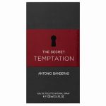 Antonio Banderas The Secret Temptation Eau de Toilette pentru bărbați 100 ml