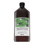 Davines Natural Tech Renewing Conditioning Treatment intretinere pentru intarire pentru toate tipurile de păr 1000 ml