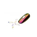 Cristale pentru unghii Multicolor Nr 28 Set 5 buc