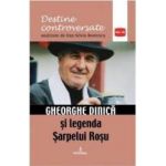 Destine controversate vol.11 Gheorghe Dinica - Dan-Silviu Boerescu