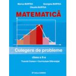 Matematica. Culegere de probleme. Clasa a X-a