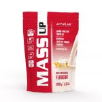 Gainer Mass Up - Activlab