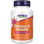 Choline & Inositol 500 mg - NOW Foods