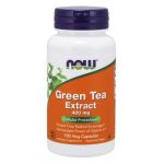 Extract de ceai verde 400 mg - NOW Foods