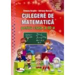 Culegere de matematica cls a III-a Grujdin