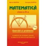 Matematica. Exercitii si probleme. Clasa a XI-a