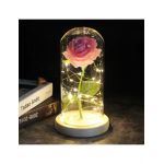 Trandafiri criogenat Roz in cupola 21 cm cu lumina led engros