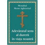 Adevaratul sens al durerii in viata noastra - Monahul Moise Aghioritul