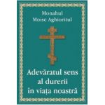 Adevaratul sens al durerii in viata noastra - Monahul Moise Aghioritul