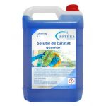 Detergent de Curatat Sticla-Geamuri 5L Engross