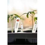 Graine Creative Kit de etichete pentru plante DIY Crazy Plastic Kit