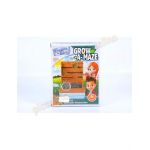 Cultiva o planta labirint Engros