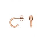 Daniel Wellington cercei