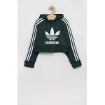 adidas Originals bluza copii culoarea verde, cu glugă, cu imprimeu