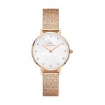 Daniel Wellington ceas Petite 28 Lumine femei, culoarea roz