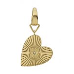 Fossil pin