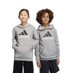 Adidas bluza copii culoarea gri, cu glugă, cu imprimeu