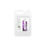 Odorizant de camera ambiental concentrat Engros, 5L, Liliac