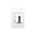 Odorizant de camera ambiental concentrat Engros, 5L, Vanilla Spa