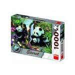 Puzzle 1000 de piese en-gros, Panda