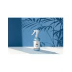 Odorizant Auto Spray Engros Loris Inger 250 ml