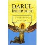 Darul Ingerului 2008