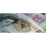 Steps into Financial English - Mara Magda Maftei