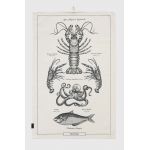 Medicine lavete de bucatarie din bumbac 2-pack