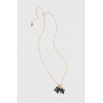 Dkny colier
