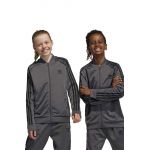 adidas Originals bluza copii culoarea gri, cu imprimeu