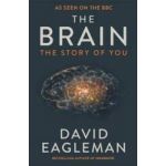 The Brain - David Eagleman