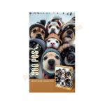 Puzzle 300 piese - Catelusi Engros