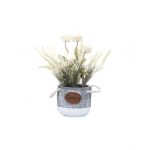 Aranjament floral, in ghiveci din ceramica, H27 crizantema si lavanda, culoare alb / ZTS 8054_2 Engros