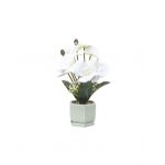 Aranjament floral in ghiveci din ceramica, model orhidee, H 37cm, culoare alb / ZTS 8055_3 Engros