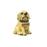 Decoratiune pentru gradina, din rasina, model catel, inaltime 14cm / ZTS 8023 Engros