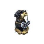 Decoratiune pentru gradina, din rasina, model catel, inaltime 19cm / ZTS 8012 Engros