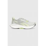Reebok pantofi de alergat Floatride Energy 5 culoarea gri