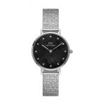 Daniel Wellington ceas Petite 28 Lumine S femei, culoarea argintiu