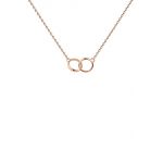 Daniel Wellington colier Elan Unity