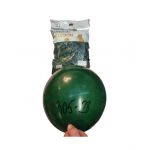 Baloane latex Engros, set 100 buc, 12 inch - 32 cm