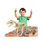 Descopera fosila T-Rex joc arheolog Engros
