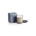 Max Benjamin lumanare aromata Dodici 210 g
