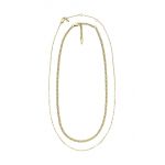Fossil coliere 2-pack